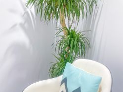 -KeCare科颜精准护肤