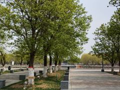 -五环公园