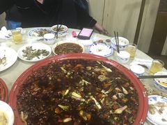 -东吴霸王兔(松青路店)