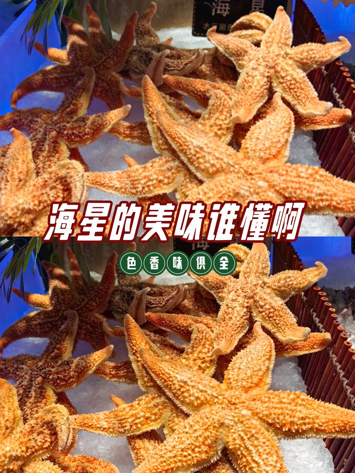 海星的美味谁懂啊