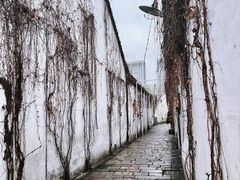 -青果巷历史文化街区
