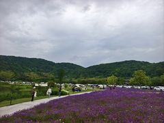 -南北湖风景区