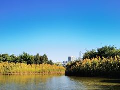 -福田红树林生态公园