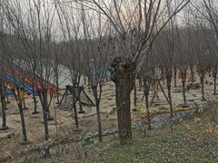 -西部长青自然儿童乐园