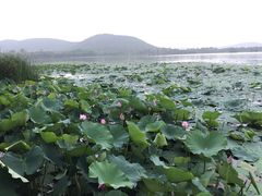 -云龙湖旅游景区