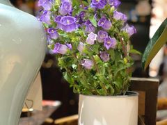 -懒人盐府人家(安贞店)