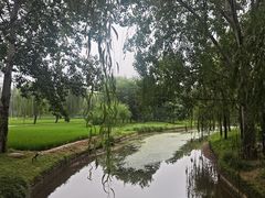 -北坞公园