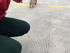 -万国驾校