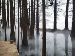 -东湖落雁景区