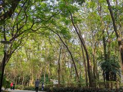 -深圳国际园林花卉博览园