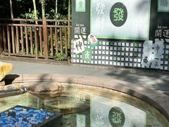 -天目湖涵田半山温泉