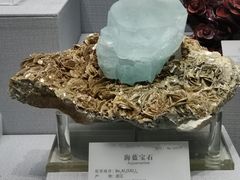 -湖南省地质博物馆