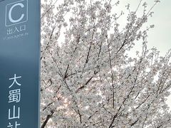 -大蜀山国家森林公园