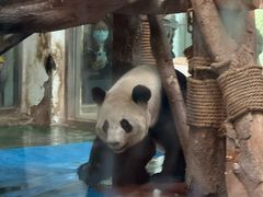 -成都动物园