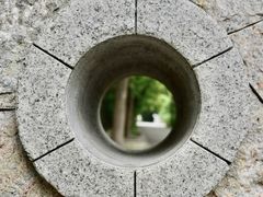 -同里国家湿地公园