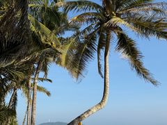 -三亚海棠湾万丽度假酒店