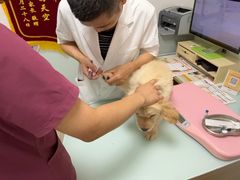 -宠福鑫康馨动物医院·骨科·眼科