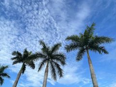 -南宁国际会展中心(会展东博文化旅游区)