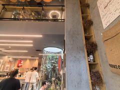 -Infica Coffee