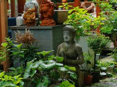 -谷咖啡·鲜花绿植花园餐厅