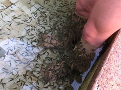 -春晖园度假酒店温泉