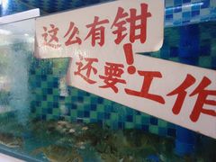 -谢记上海大排档(长寿路店)