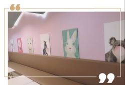 -Moni星球萌宠·小马宝莉·灵蛇·高端高阶全萌宠互动体验俱乐部(红豆国际广场店)