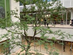 -茑屋书店(天目里店)