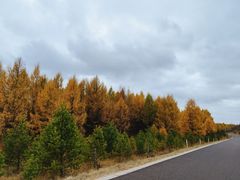 -塞罕坝国家级自然保护区