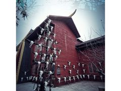 -呀路古热带植物园