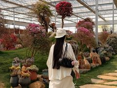 -沂蒙云瀑洞天景区