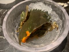 -半岛翡丽海鲜自助餐厅(观风亭店)