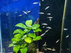 -沙沙哗啦海洋馆(华宇百花谷店)