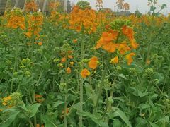 -中国天府农业博览园