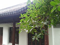 -上海佘山国家森林公园天马山园