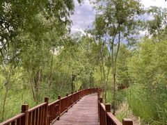 -伊犁河风景区
