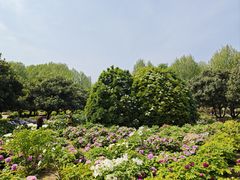 -郑州植物园