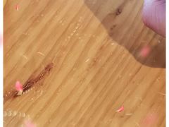 -妥妥烤肉料理(昙华林店)