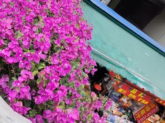 -广州白马服装市场