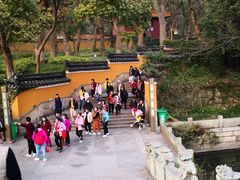 -普陀山风景名胜区-法雨禅寺