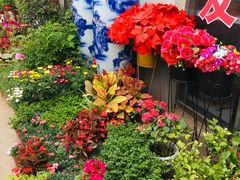 -牛栏山市场