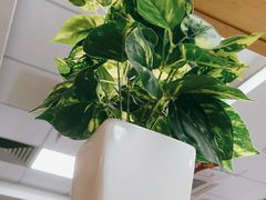 -华莱士·全鸡汉堡(坂田店)