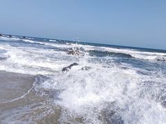 -玫瑰海岸文化旅游度假区
