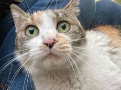 -隹木咖啡馆(宝龙广场店)