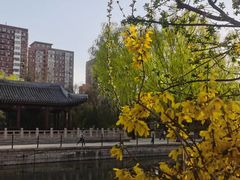 -元大都城垣遗址公园