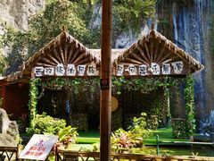 -西双版纳原始森林公园