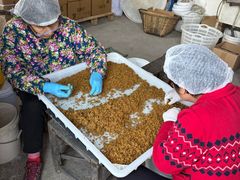 -苏州市吴中区光福窑上花果蜜饯厂