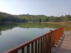 -南京市无想山景区