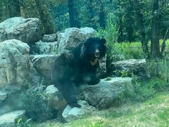 -北京野生动物园