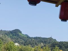 -千年银杏谷文化旅游区